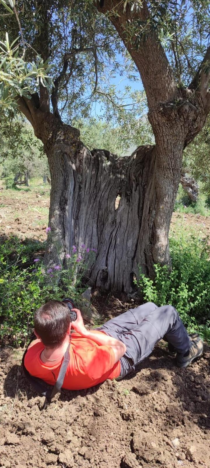 Casa Della Nonna Βίλα Caltavuturo Εξωτερικό φωτογραφία