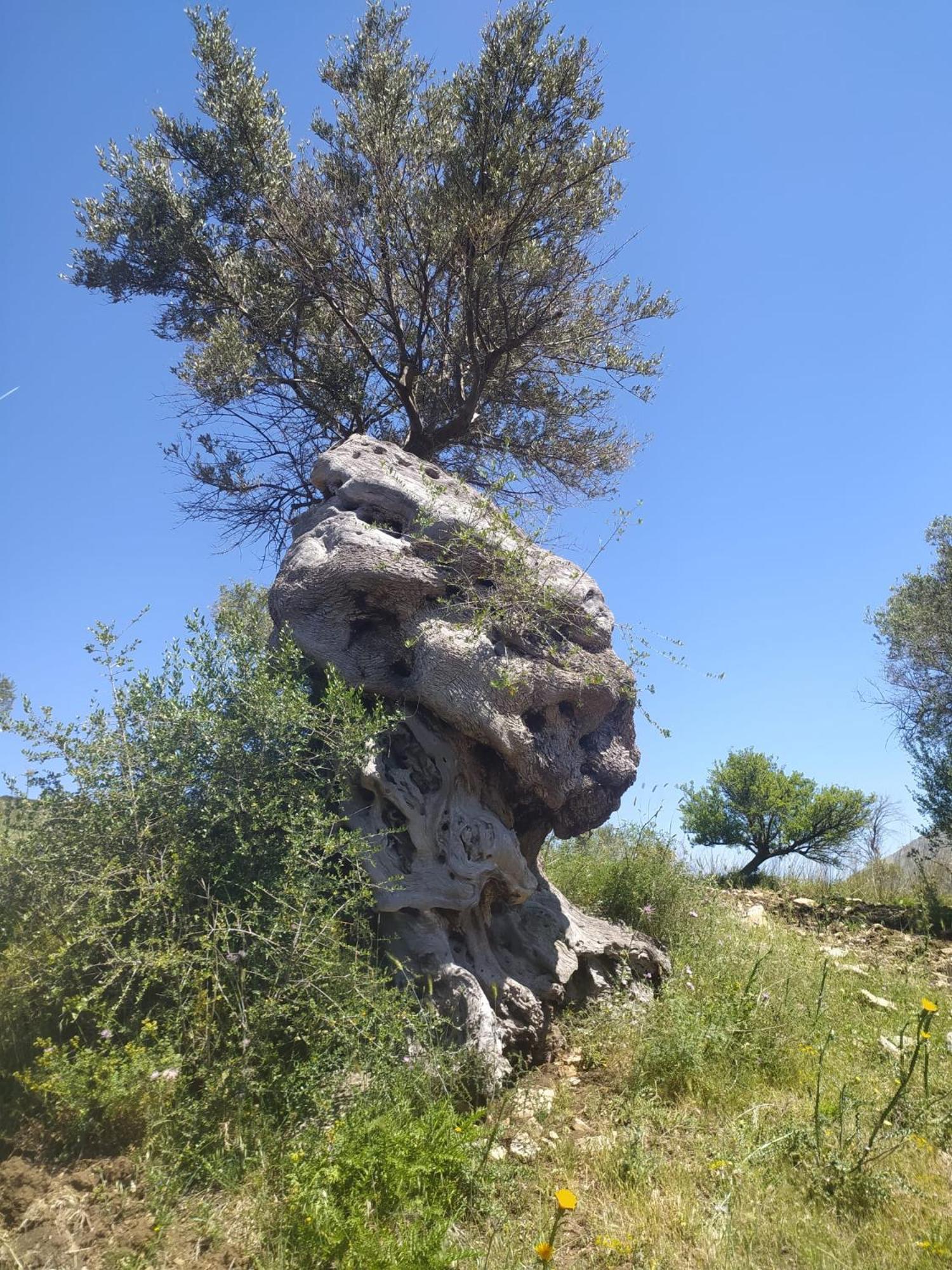 Casa Della Nonna Βίλα Caltavuturo Εξωτερικό φωτογραφία