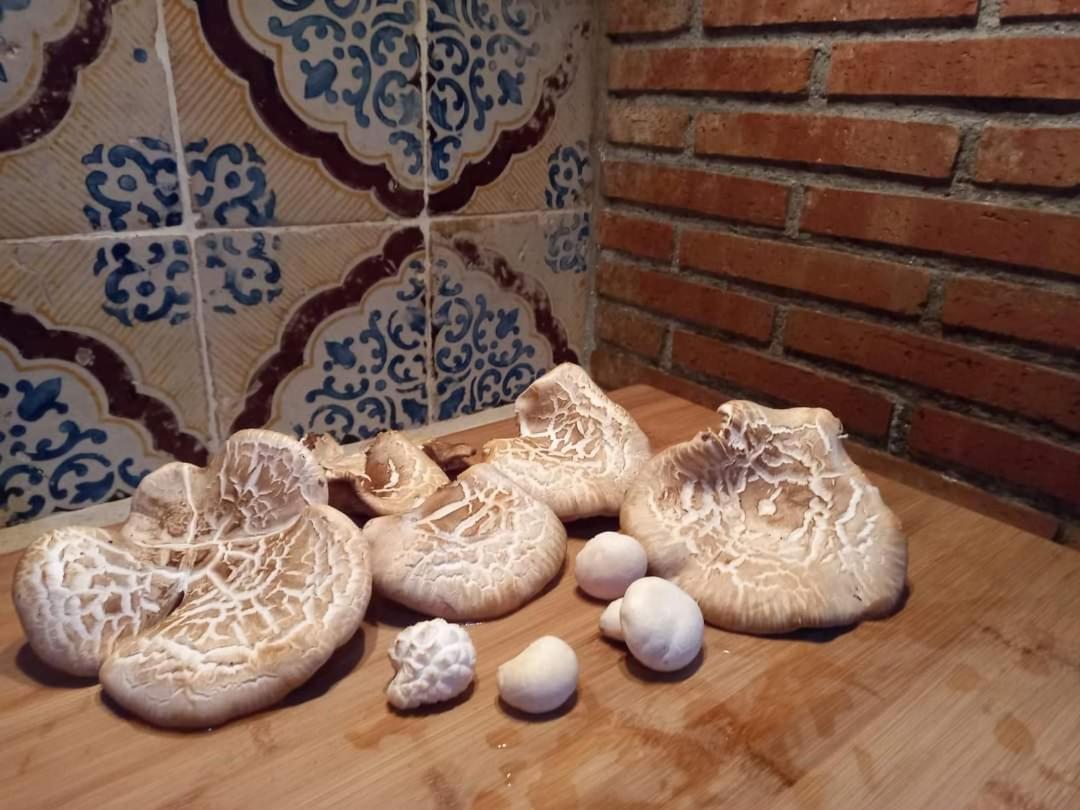 Casa Della Nonna Βίλα Caltavuturo Εξωτερικό φωτογραφία