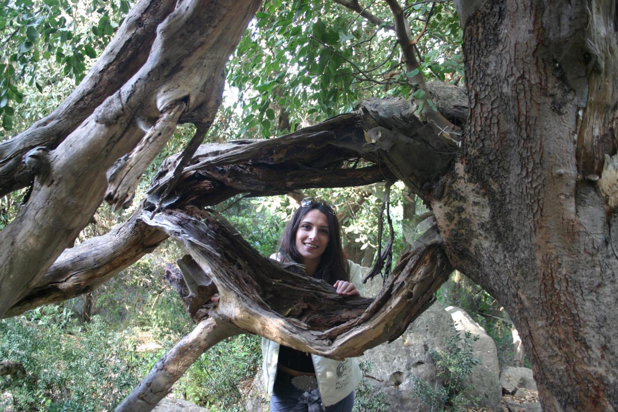 Casa Della Nonna Βίλα Caltavuturo Εξωτερικό φωτογραφία
