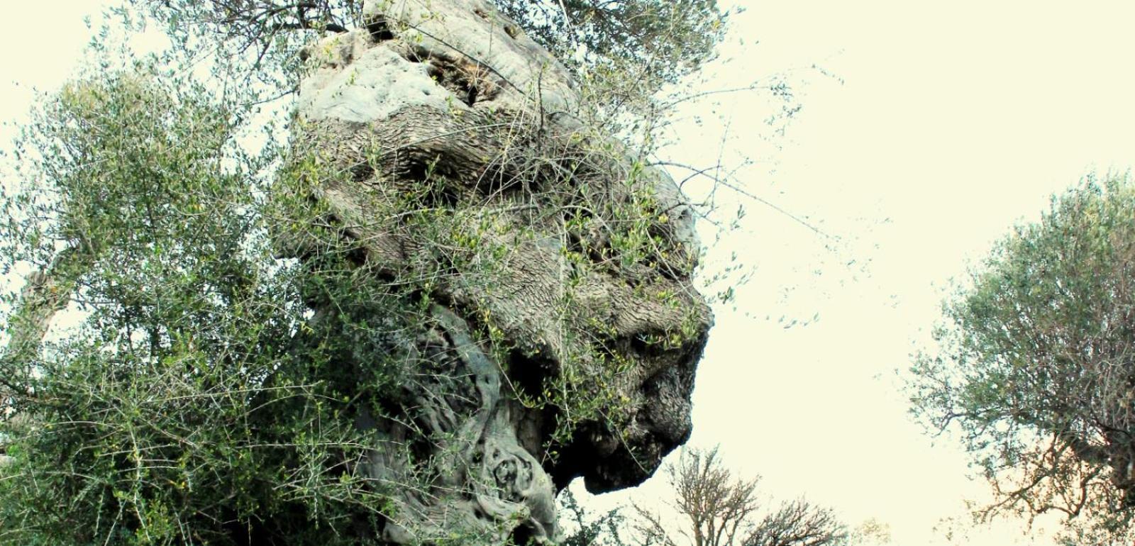 Casa Della Nonna Βίλα Caltavuturo Εξωτερικό φωτογραφία